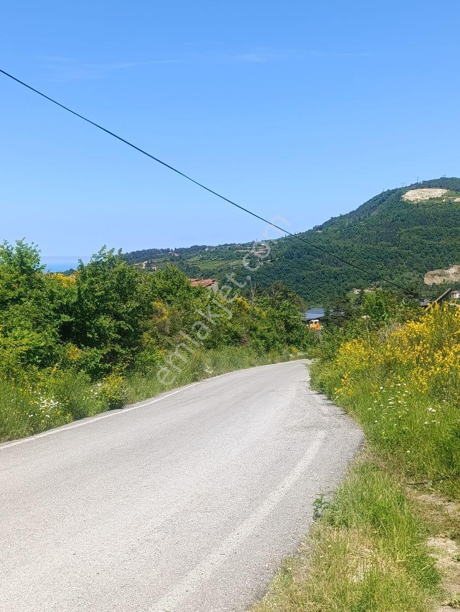 Zeybek'*den Bozkurt Merkez Meteoroloji Tepesi.5.800.m2 İmarli - Görsel 13