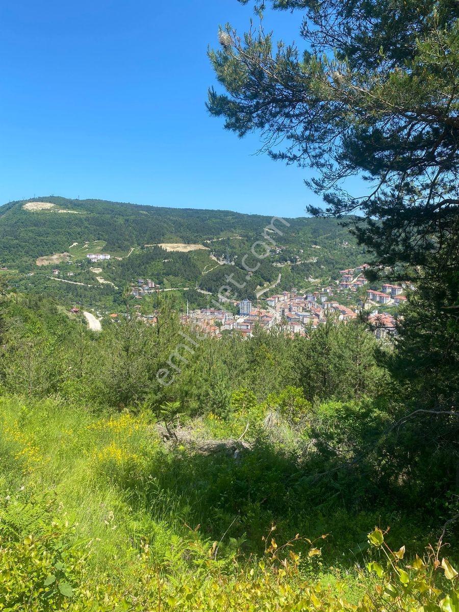 Zeybek'*den Bozkurt Merkez Meteoroloji Tepesi.5.800.m2 İmarli - Görsel 3