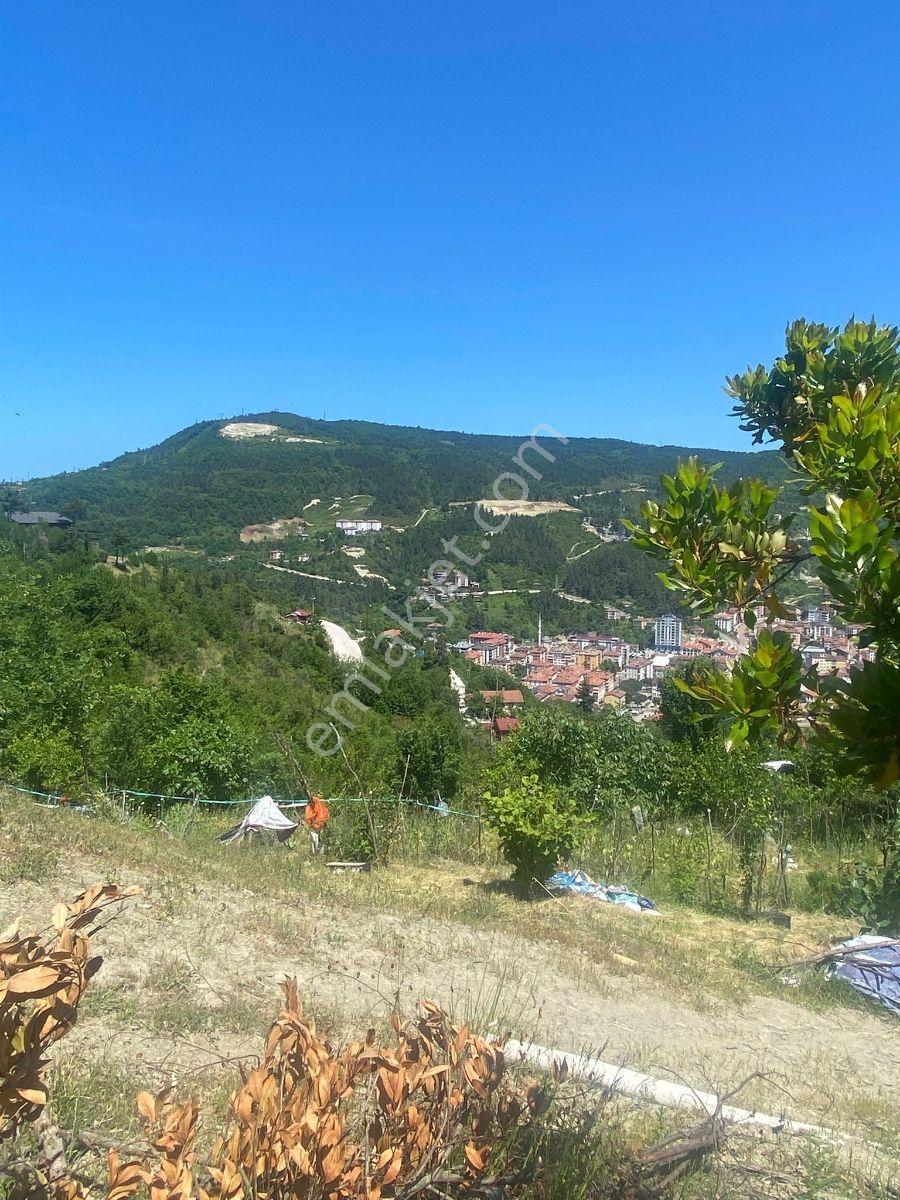 Zeybek'*den Bozkurt Merkez Meteoroloji Tepesi.5.800.m2 İmarli - Görsel 29