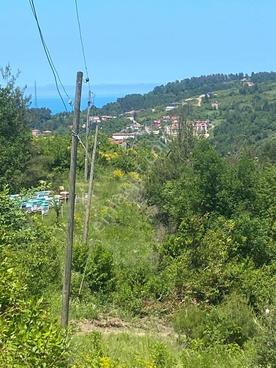 Zeybek'*den Bozkurt Merkez Meteoroloji Tepesi.5.800.m2 İmarli - Görsel 35