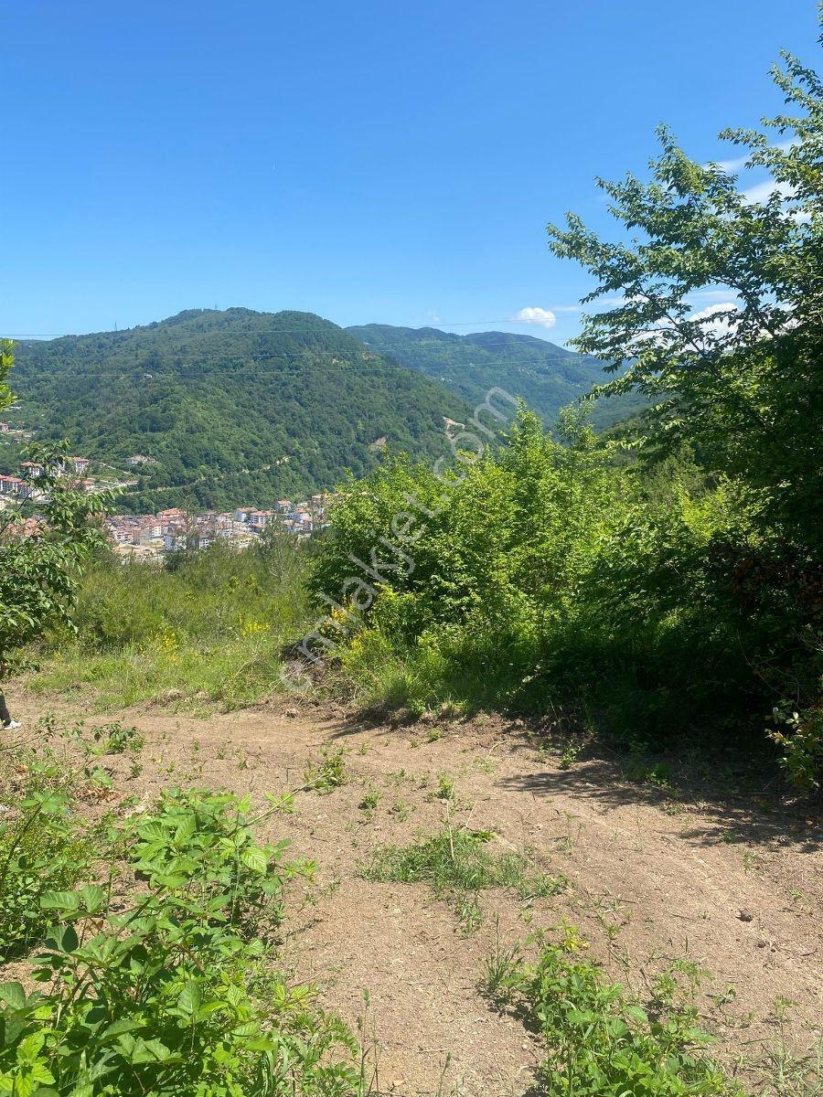 Zeybek'*den Bozkurt Merkez Meteoroloji Tepesi.5.800.m2 İmarli - Görsel 15
