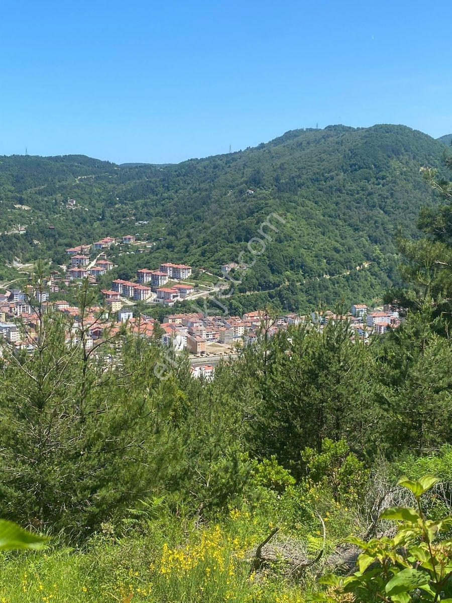 Zeybek'*den Bozkurt Merkez Meteoroloji Tepesi.5.800.m2 İmarli - Görsel 4
