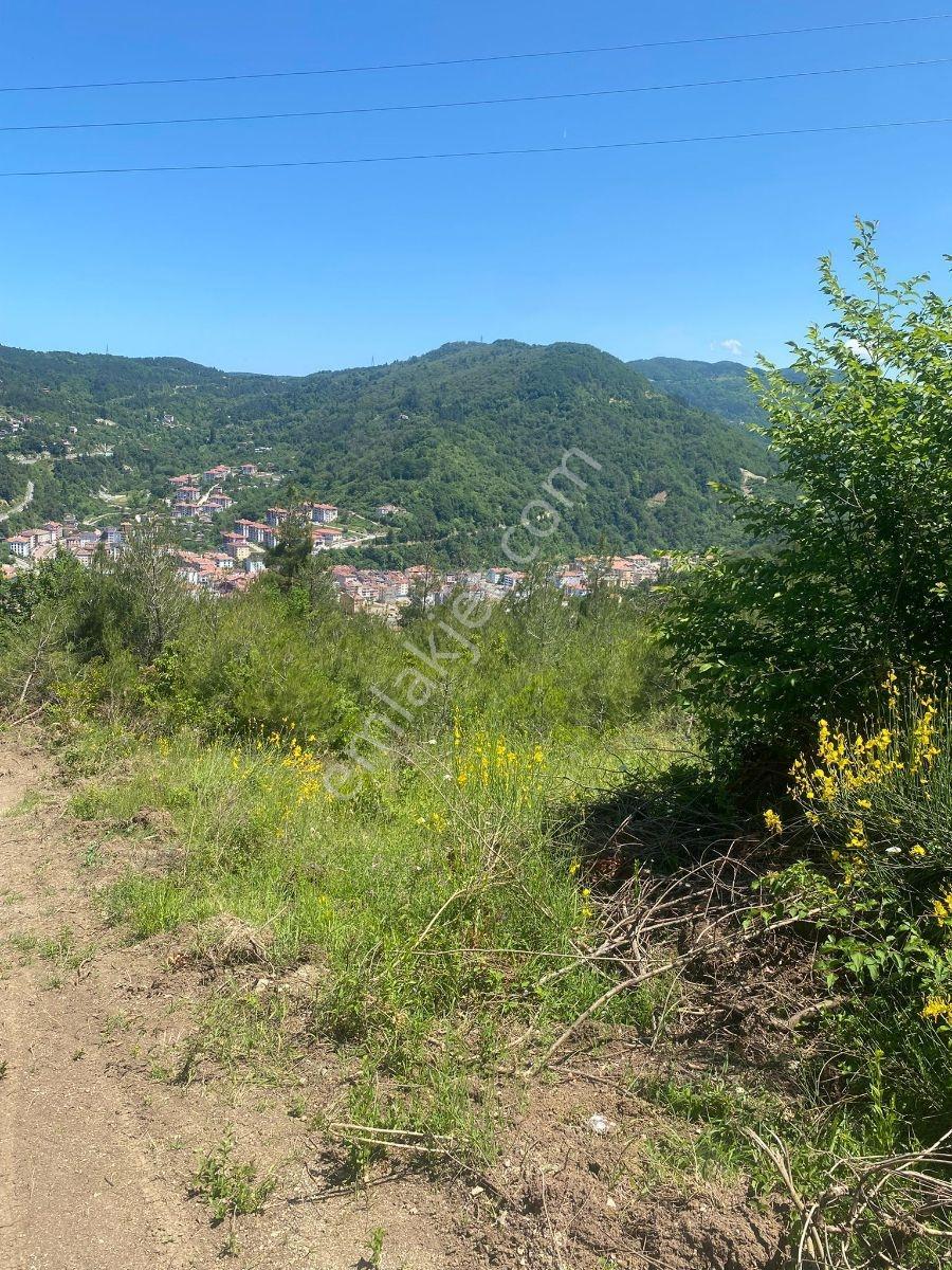 Zeybek'*den Bozkurt Merkez Meteoroloji Tepesi.5.800.m2 İmarli - Görsel 27