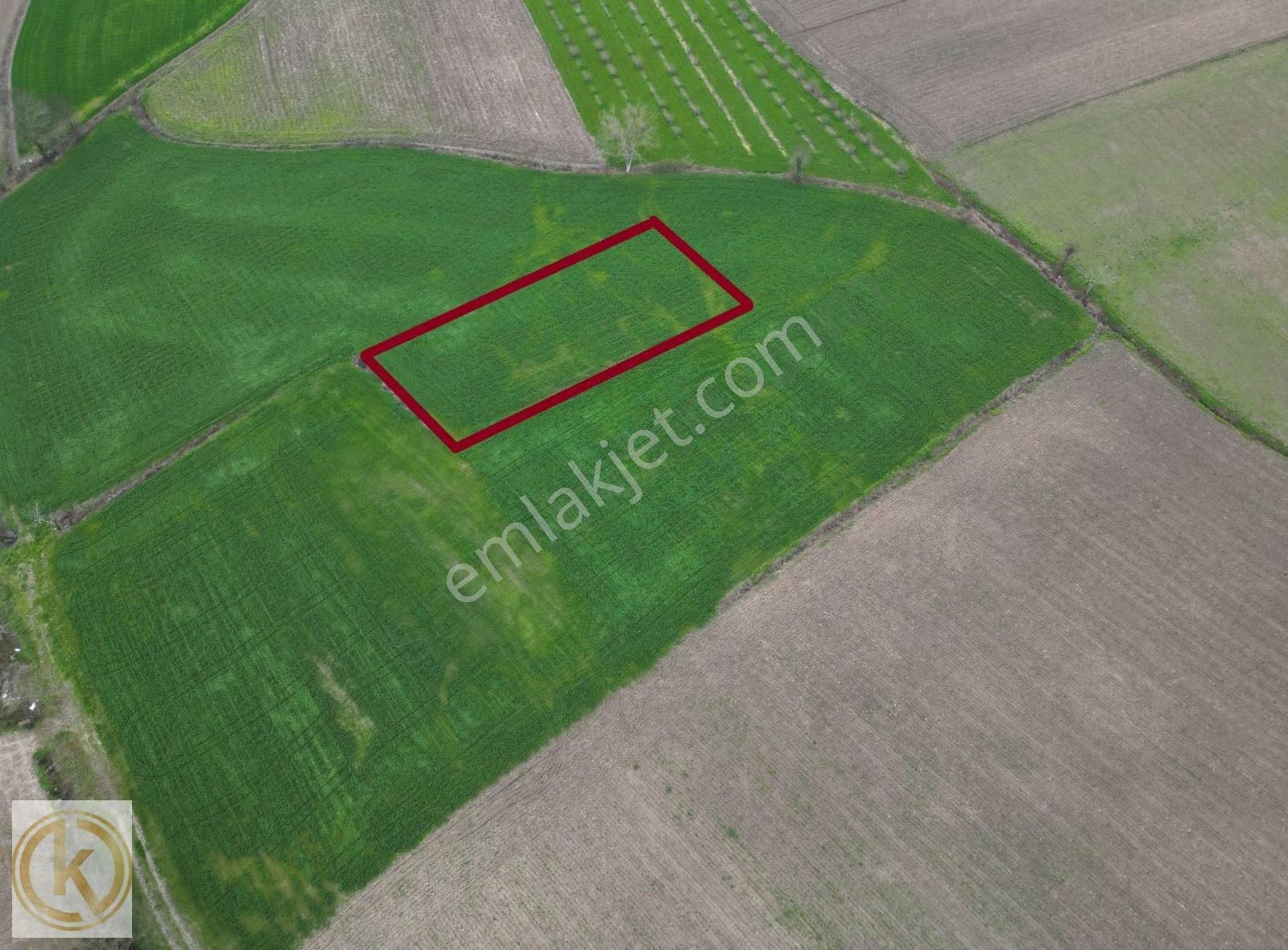 Kaymak Emlaktan Erenler Epçellerde 1315 Metre² Tarla - Görsel 19