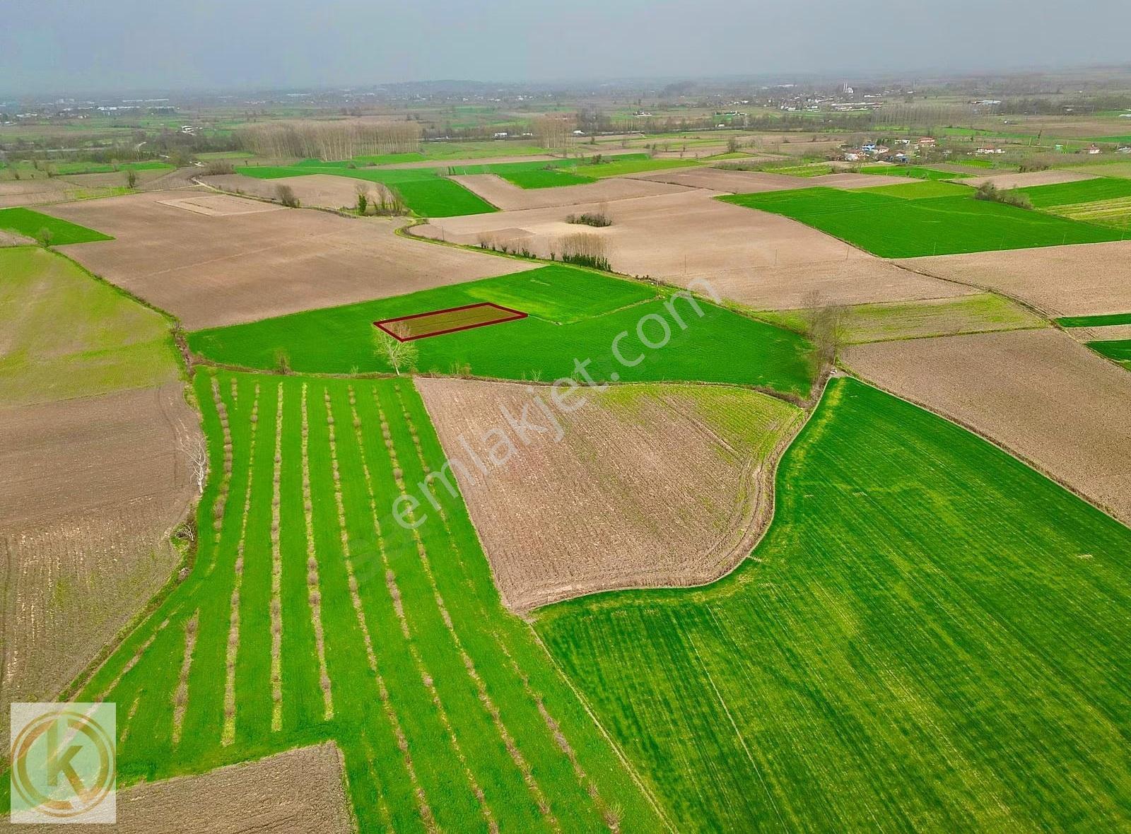 Kaymak Emlaktan Erenler Epçellerde 1315 Metre² Tarla - Görsel 12