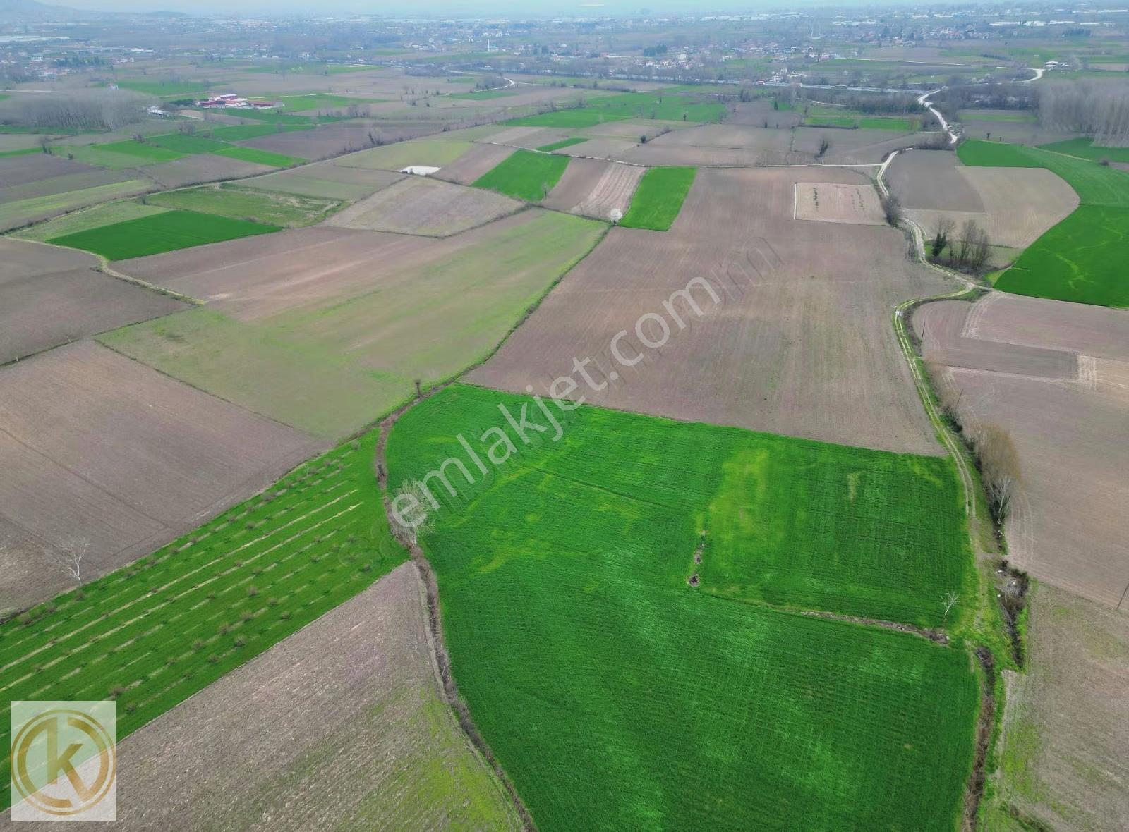Kaymak Emlaktan Erenler Epçellerde 1315 Metre² Tarla - Görsel 16