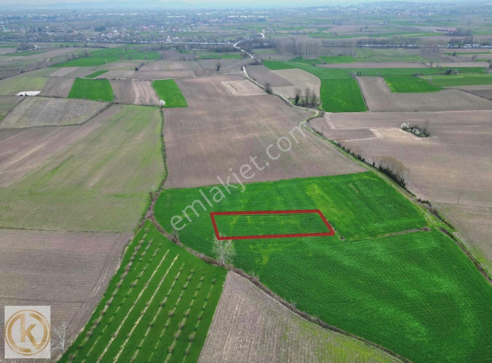 Kaymak Emlaktan Erenler Epçellerde 1315 Metre² Tarla - Görsel 6