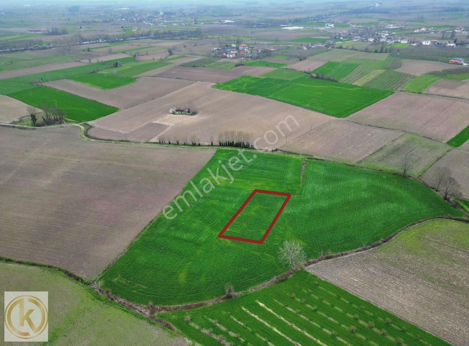 Kaymak Emlaktan Erenler Epçellerde 1315 Metre² Tarla - Görsel 15