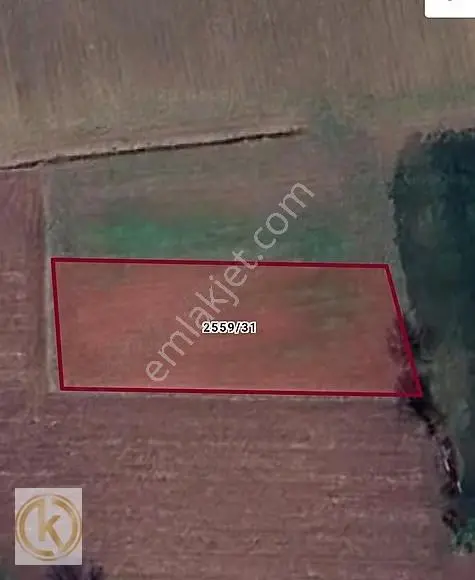 Kaymak Emlaktan Erenler Epçellerde 1315 Metre² Tarla - Görsel 3