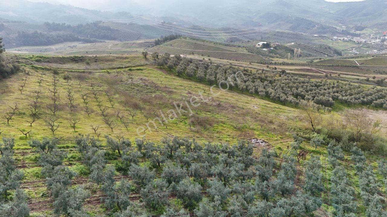 Bursa Osmangazi Selçukgazi'de Kadastro Yollu 13.600m² Yatırımlık - Görsel 2