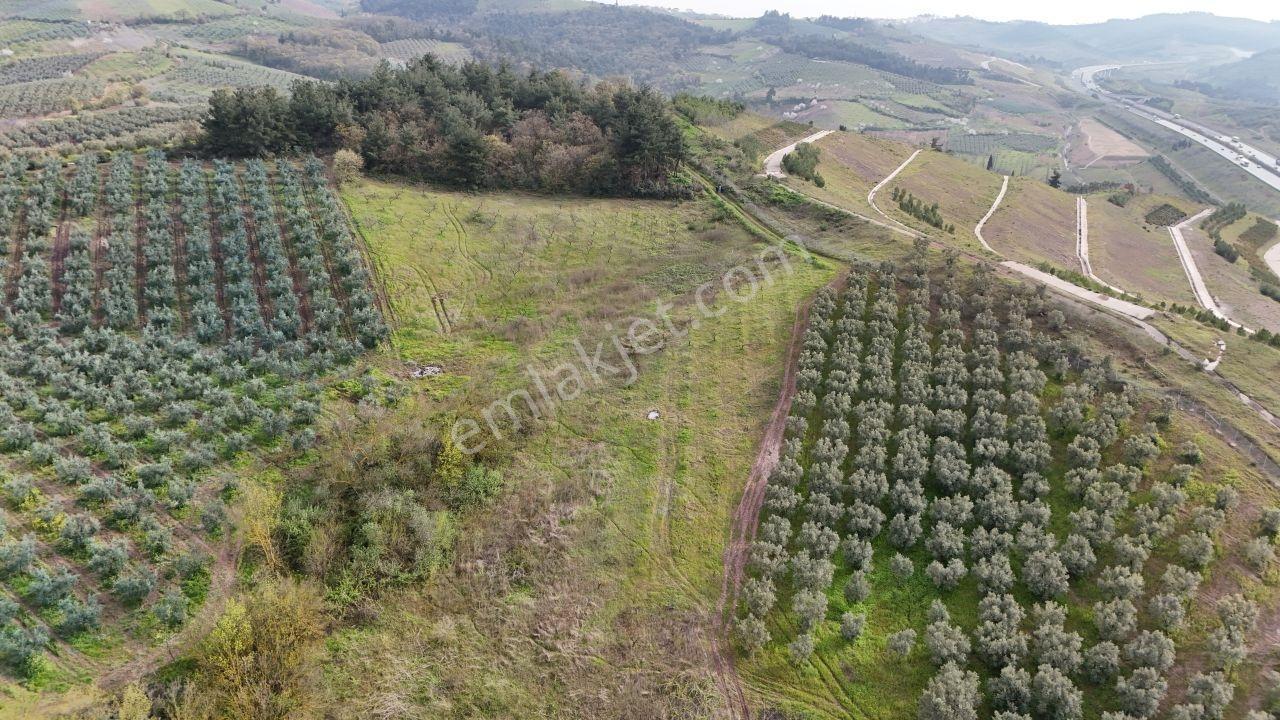 Bursa Osmangazi Selçukgazi'de Kadastro Yollu 13.600m² Yatırımlık - Görsel 5