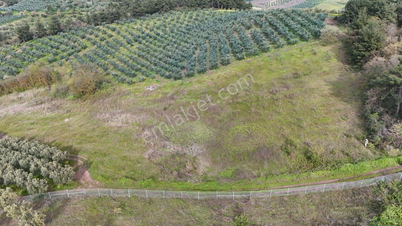 Bursa Osmangazi Selçukgazi'de Kadastro Yollu 13.600m² Yatırımlık - Görsel 4