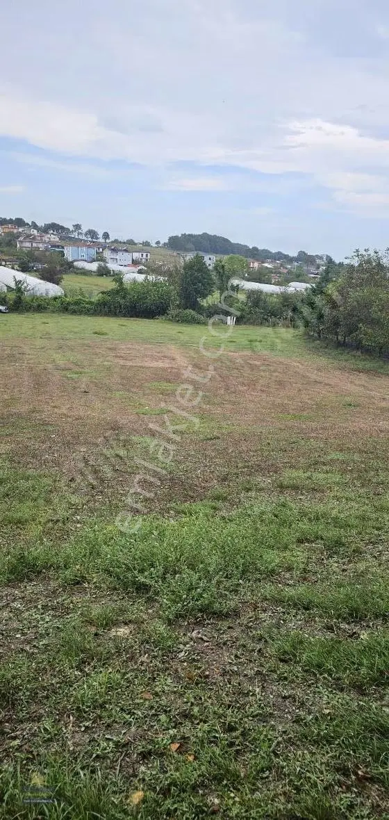 Çatalca Belgrat Köy İle Orman Arasında