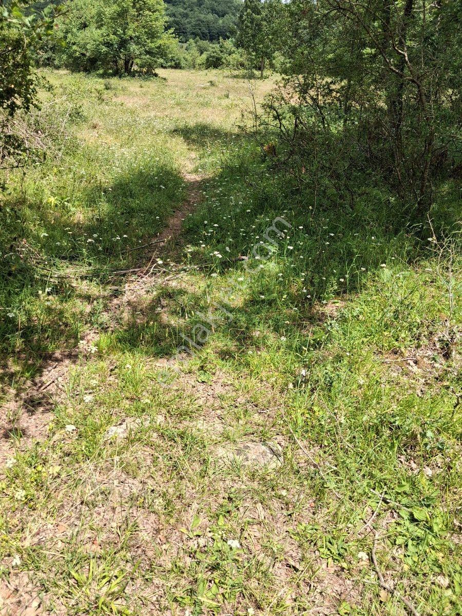 Geleceğinize Yatırım Yapın Şile Hasanlıda 826 M Müstakil Tarla - Görsel 7