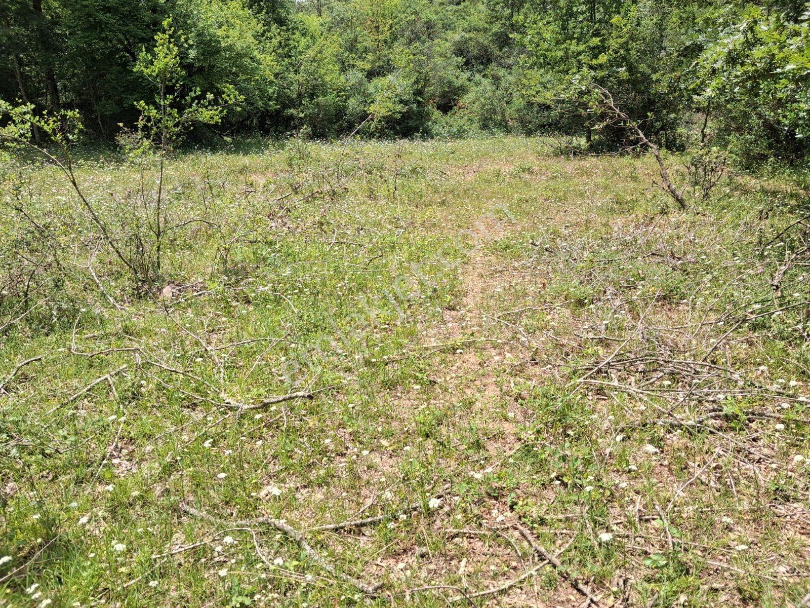Geleceğinize Yatırım Yapın Şile Hasanlıda 826 M Müstakil Tarla - Görsel 10