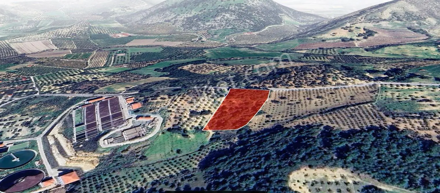 Kuşadası Kirazlıda Yatırımlık Satılık Fırsat Tarla - Görsel 5