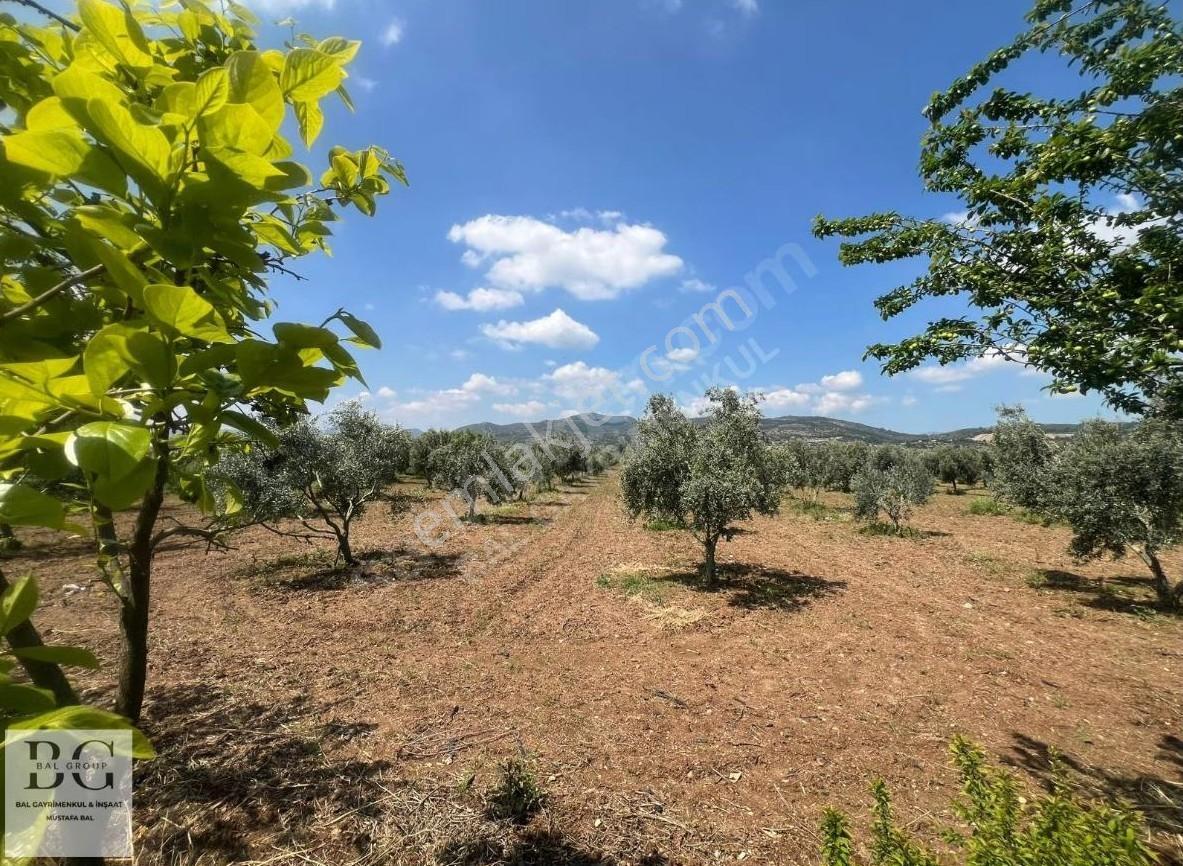 Menderesde Satılık 250 M2 - 300 M2 - 400 M2 - 500 M2 Bahçeler - Görsel 8