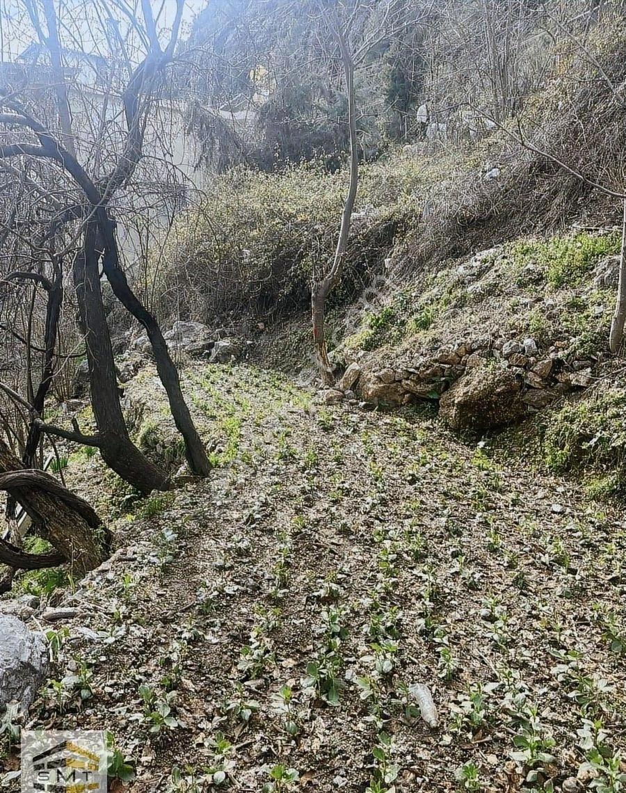Alanya Akçatı Mahallesi Satılık Manzaralı Arsa - Görsel 4