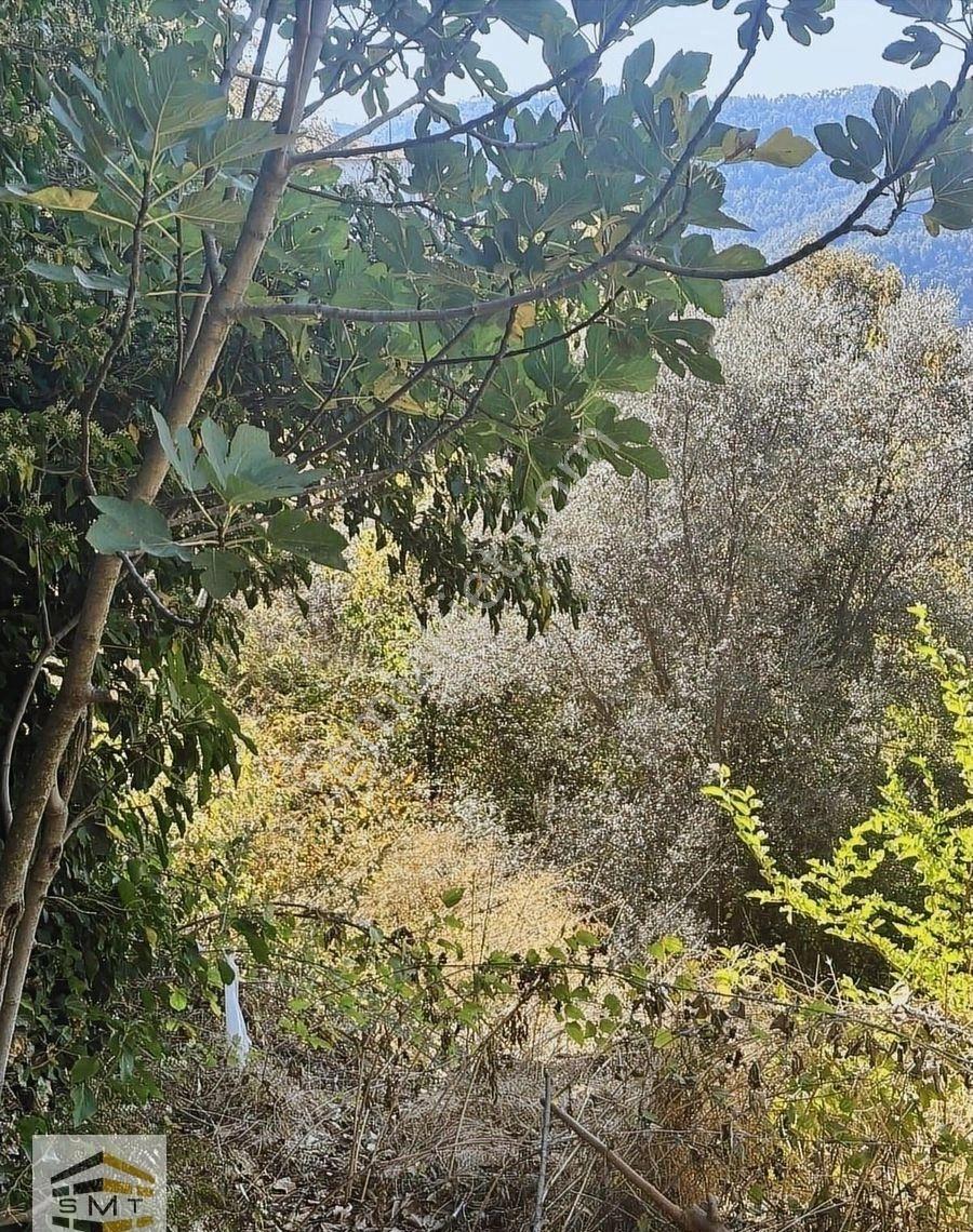 Alanya Mahmutseydi Mahallesi Satılık Deniz Manzaralı Tarla - Görsel 12
