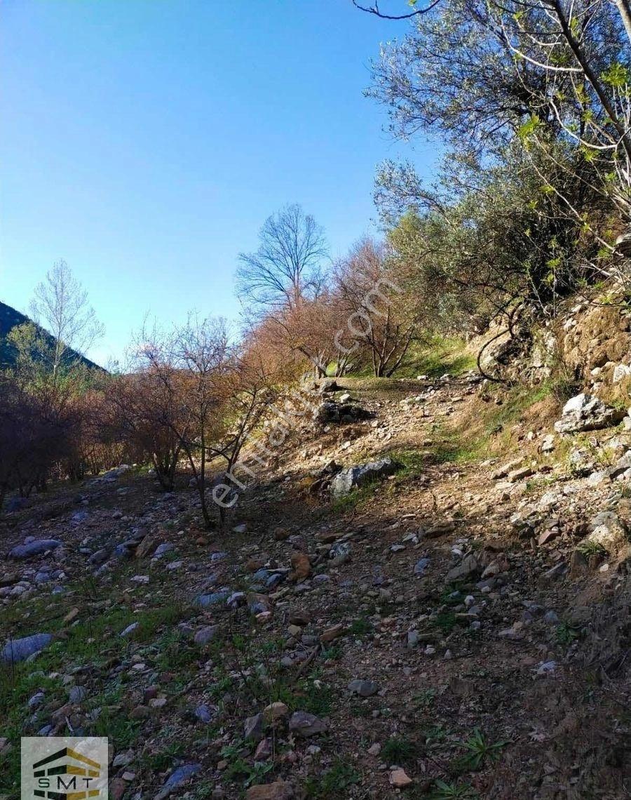 Alanya Fakırcalı Mahallesi Satılık 2185 M2 Kurulu Düzen Tarla - Görsel 3