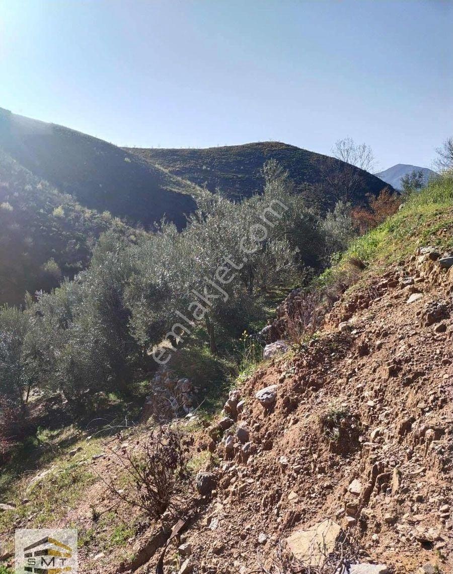 Alanya Fakırcalı Mahallesi Satılık 2185 M2 Kurulu Düzen Tarla - Görsel 15