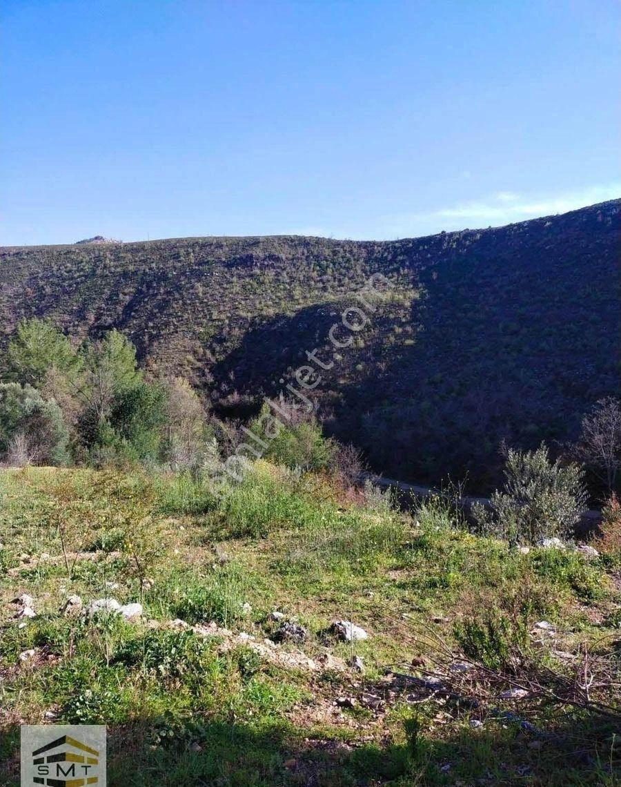 Alanya Fakırcalı Mahallesi Satılık 2185 M2 Kurulu Düzen Tarla - Görsel 7