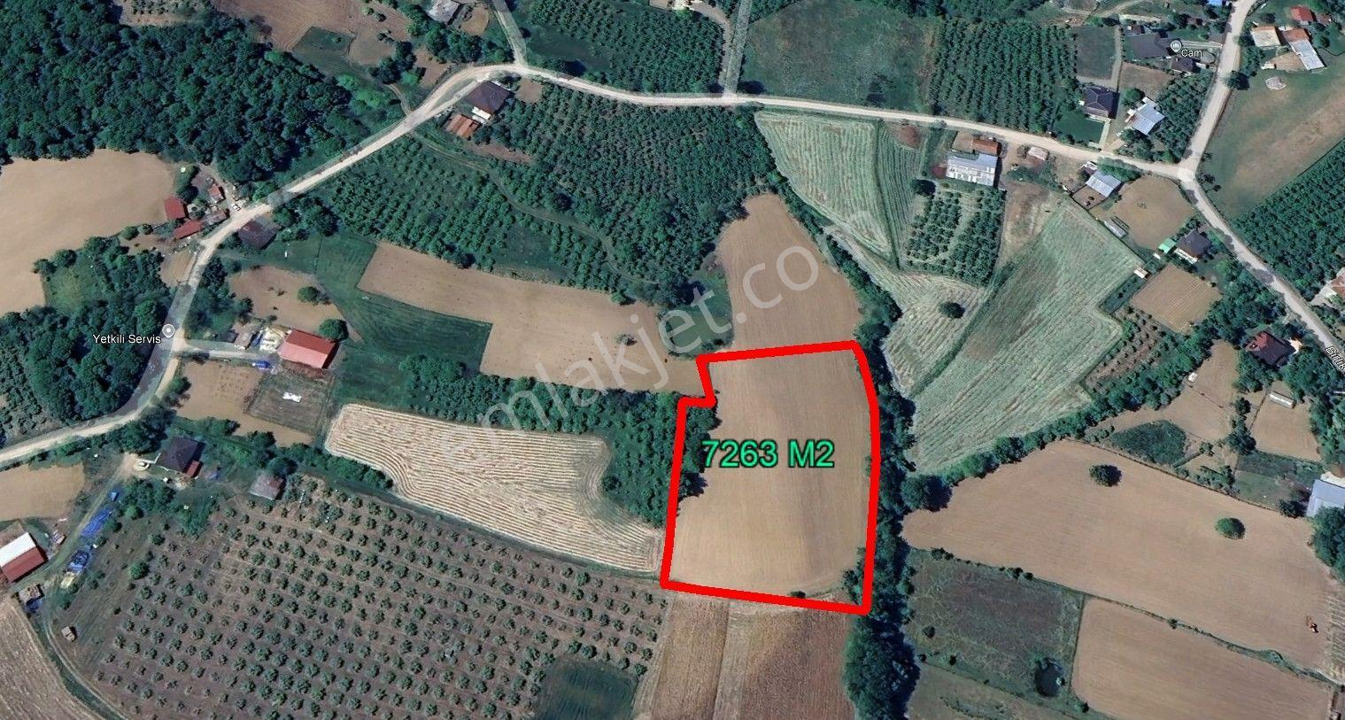 Remax Mavi Murat Ocaktar 'dan 7263 M² Verimli Tarla | Topcu Mh. - Görsel 9