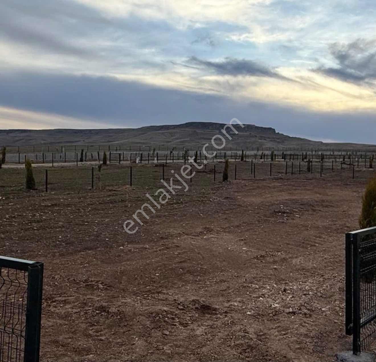 Doğankavakta Satılık 2 Adet Bahçe - Görsel 5
