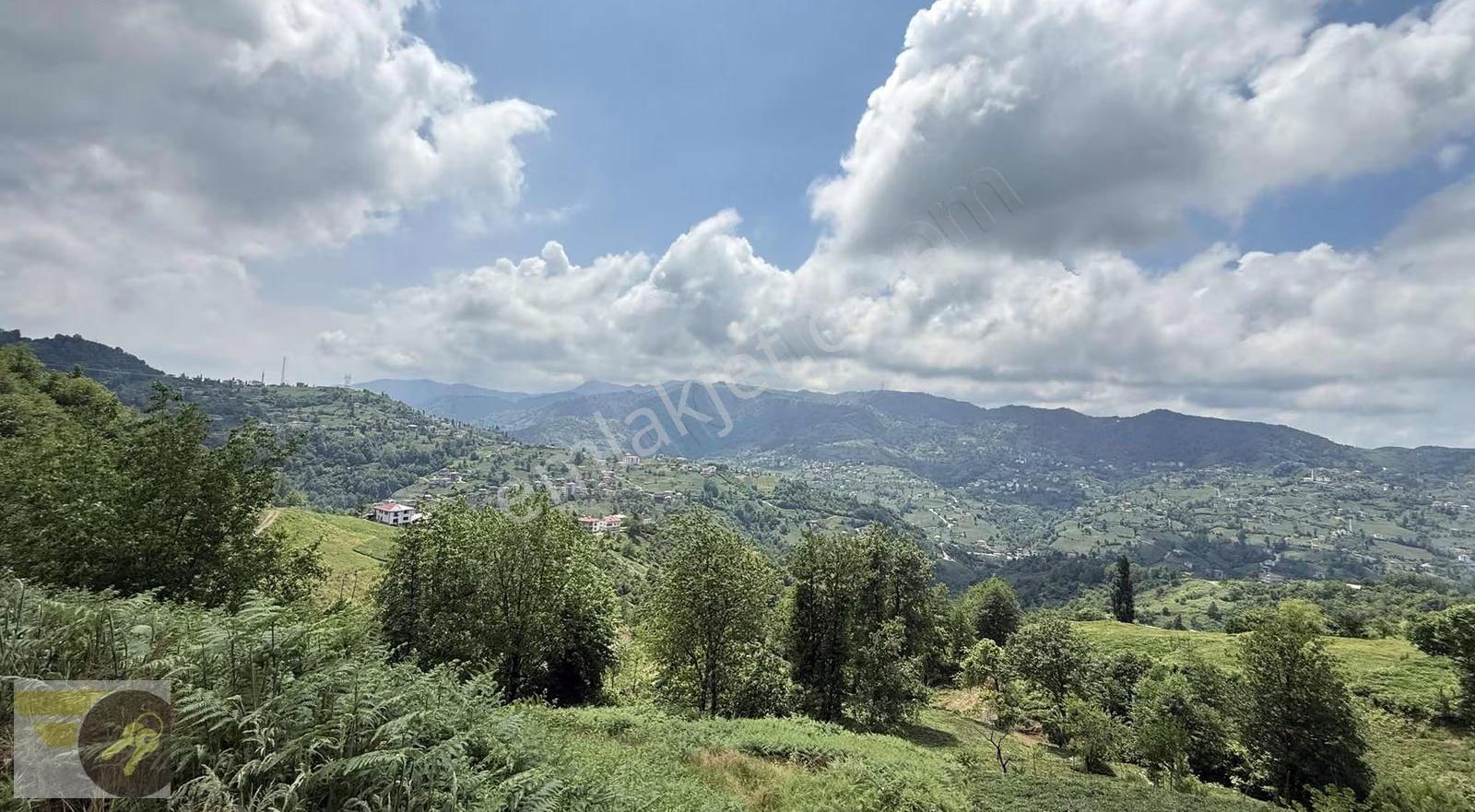 *of Gayrimenkul* Yemişalan Köyü 2.500m2 Satılık Arsa - Görsel 12