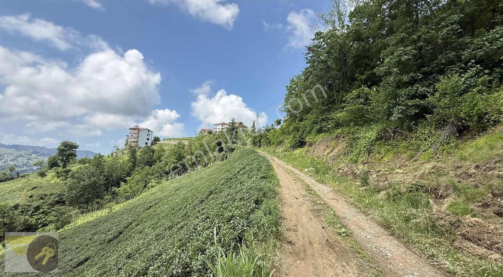 *of Gayrimenkul* Yemişalan Köyü 2.500m2 Satılık Arsa - Görsel 5