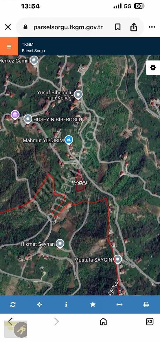 *of Gayrimenkul* Yemişalan Köyü 2.500m2 Satılık Arsa - Görsel 3