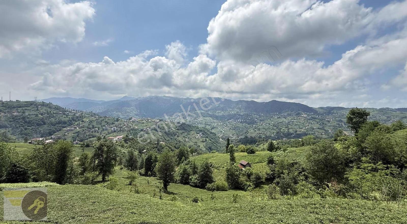 *of Gayrimenkul* Yemişalan Köyü 2.500m2 Satılık Arsa - Görsel 11