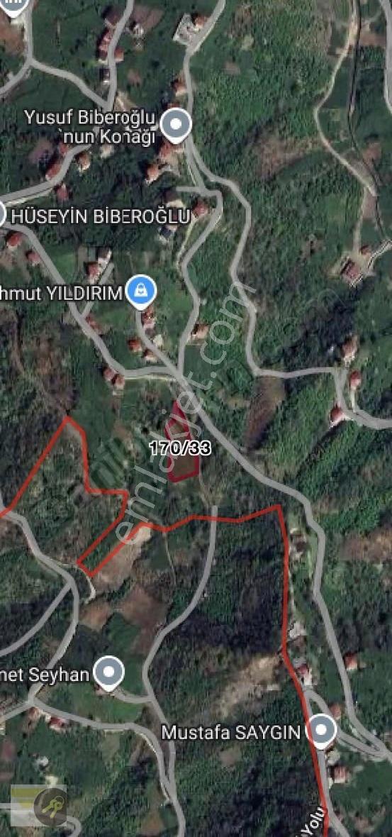 *of Gayrimenkul* Yemişalan Köyü 2.500m2 Satılık Arsa - Görsel 2