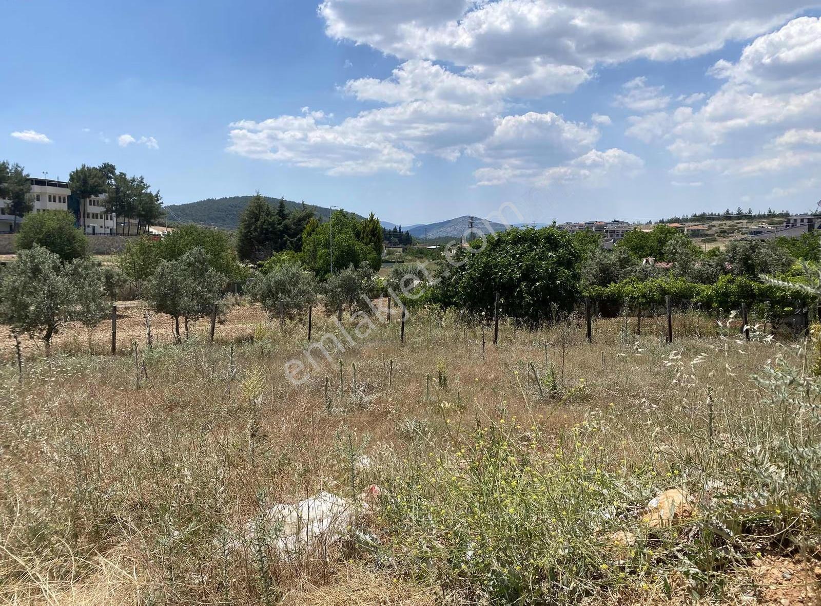 Muğla Akçaovada Harika Konumda Satılık Arsa - Görsel 7