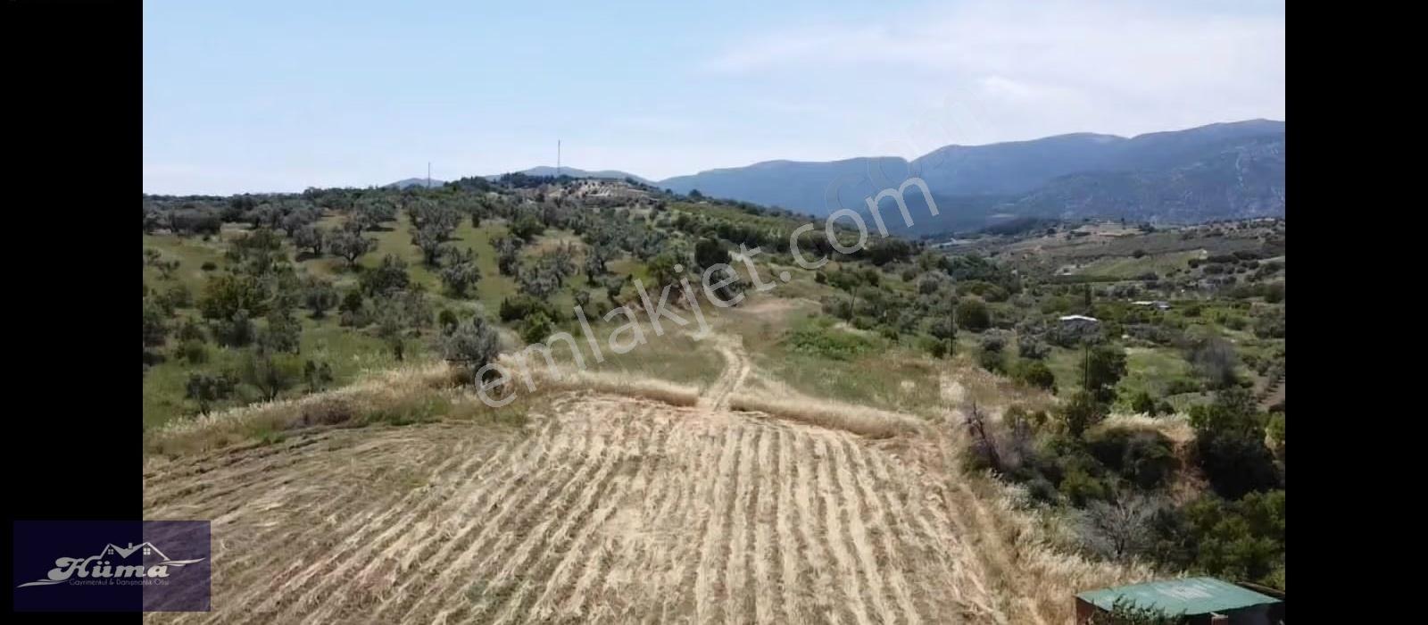 Hüma'dan Karaoğlanlıda Manisa Turgutlu Yoluna 200 Metre - Görsel 6
