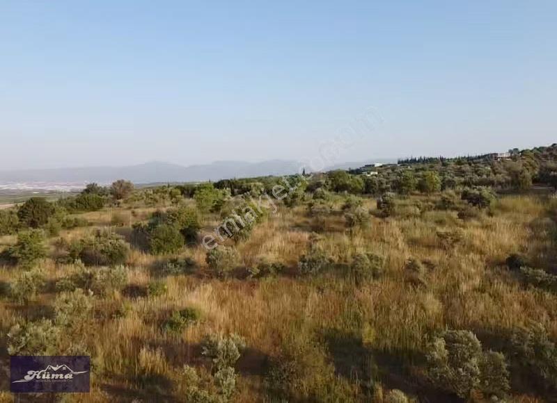 Hüma'dan Karaoğlanlıda Satılık 2500 M2 Tarla