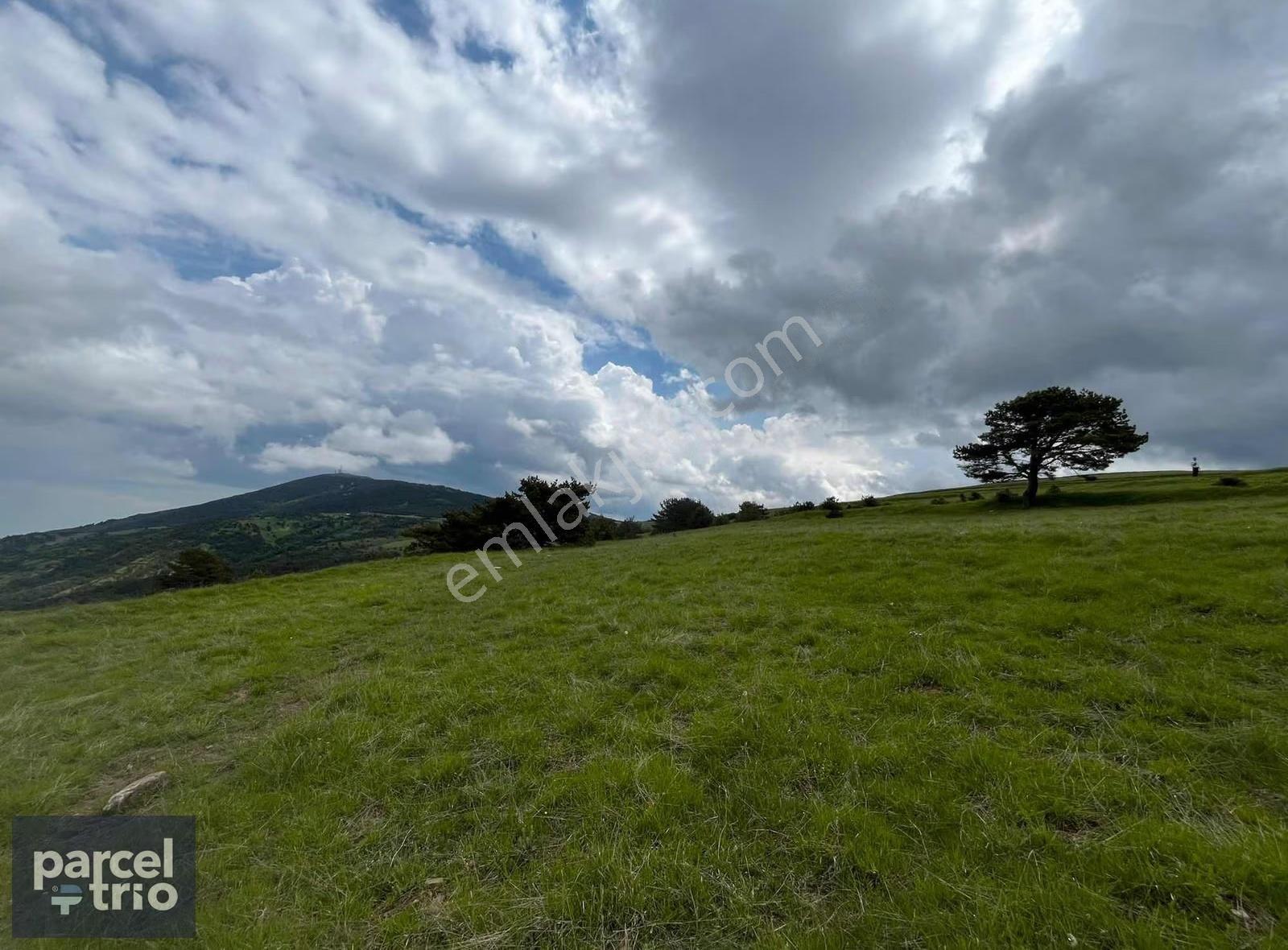 Alaçam Satılık Tarla Emsalsiz 4332m2 Yola Cephe Müstakil - Görsel 11