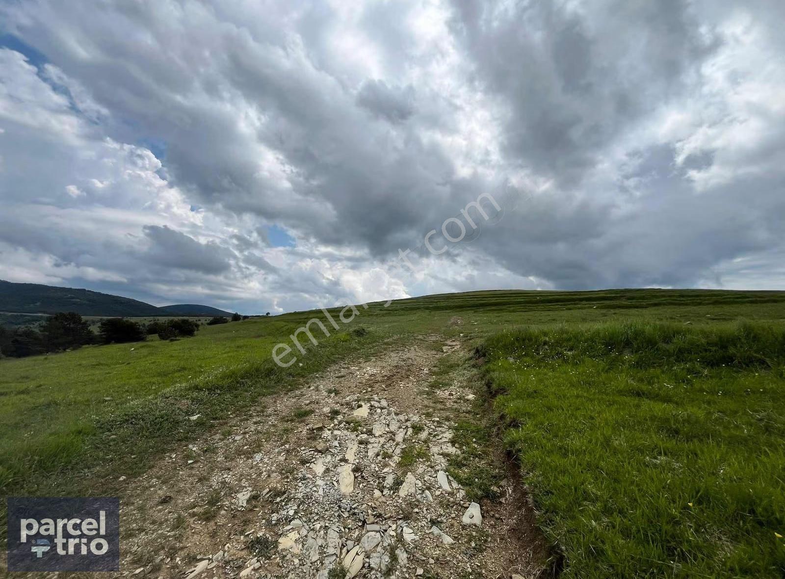 Alaçam Satılık Tarla Emsalsiz 4332m2 Yola Cephe Müstakil - Görsel 2