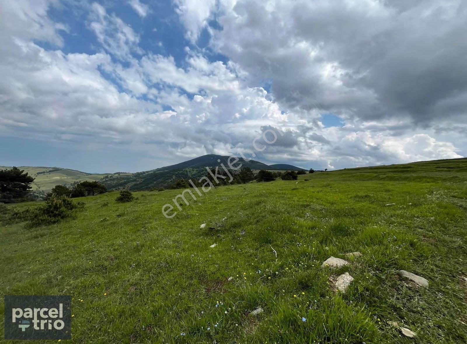 Alaçam Satılık Tarla Emsalsiz 4332m2 Yola Cephe Müstakil - Görsel 6