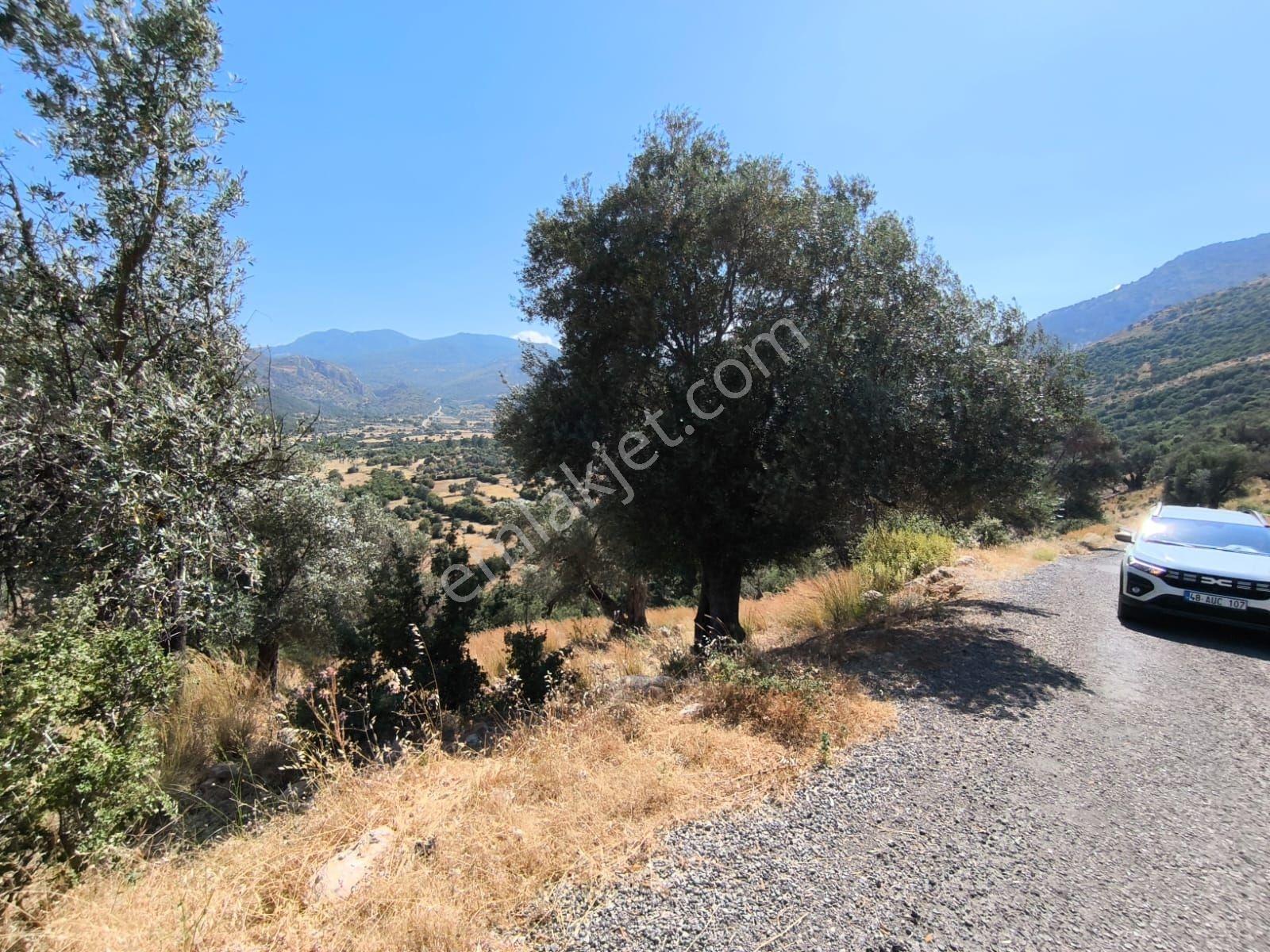 Seydikemer İzzetinde 981 M2 Satılık Manzaralı Parsel - Görsel 2