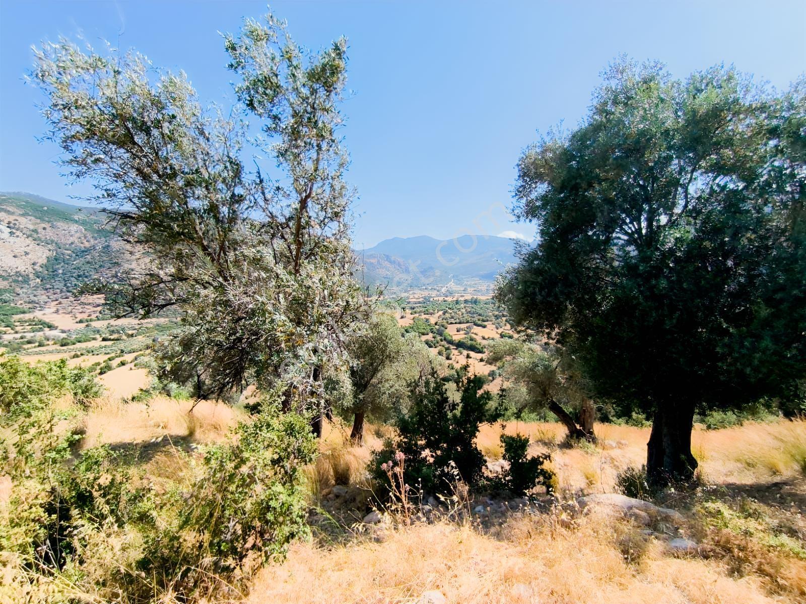 Seydikemer İzzetinde 981 M2 Satılık Manzaralı Parsel - Görsel 5