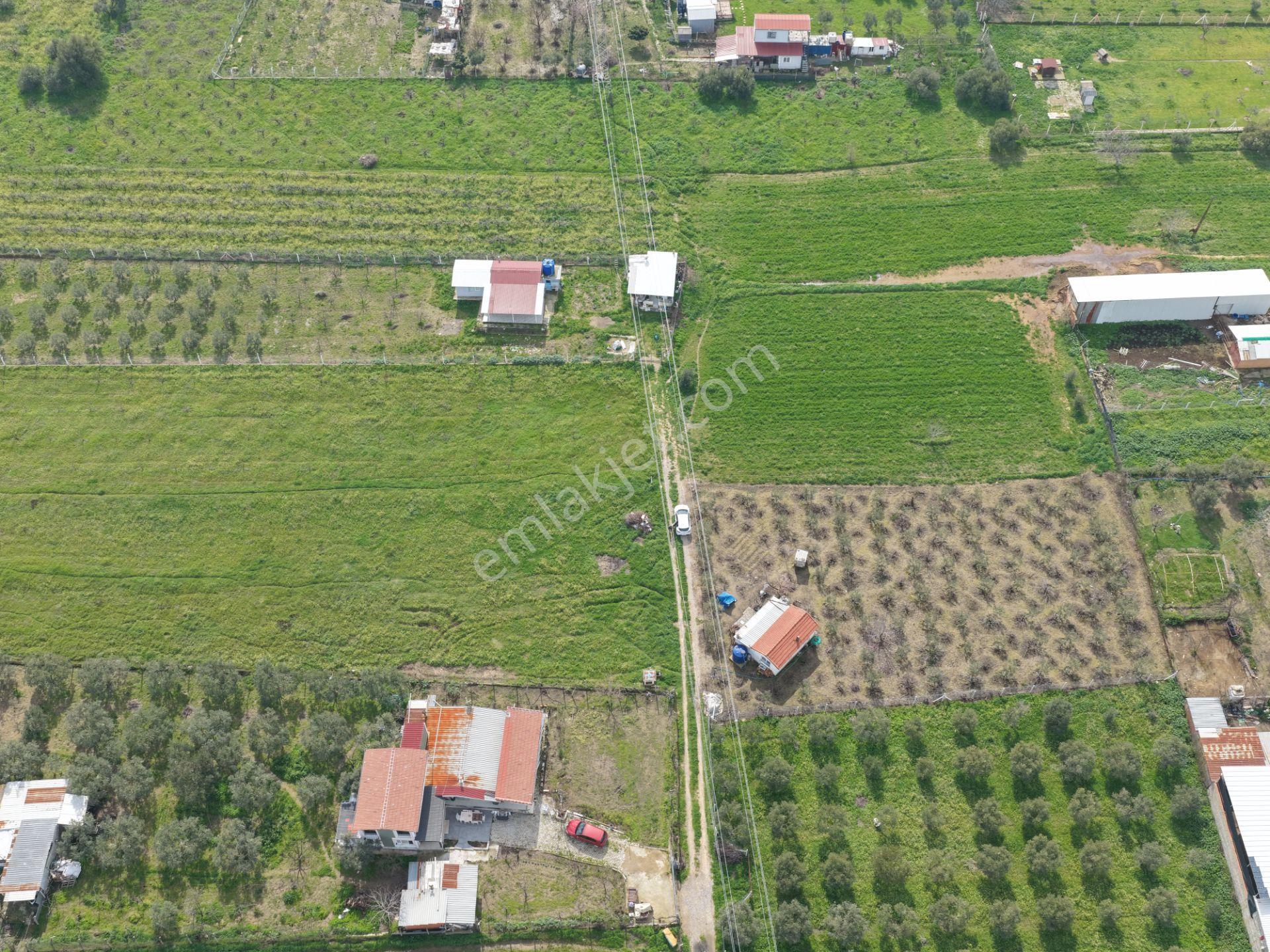 Kemalpaşa Armutlu | Kadastral Yolu Var | 11.920 M2 Satılık Arazi - Görsel 2