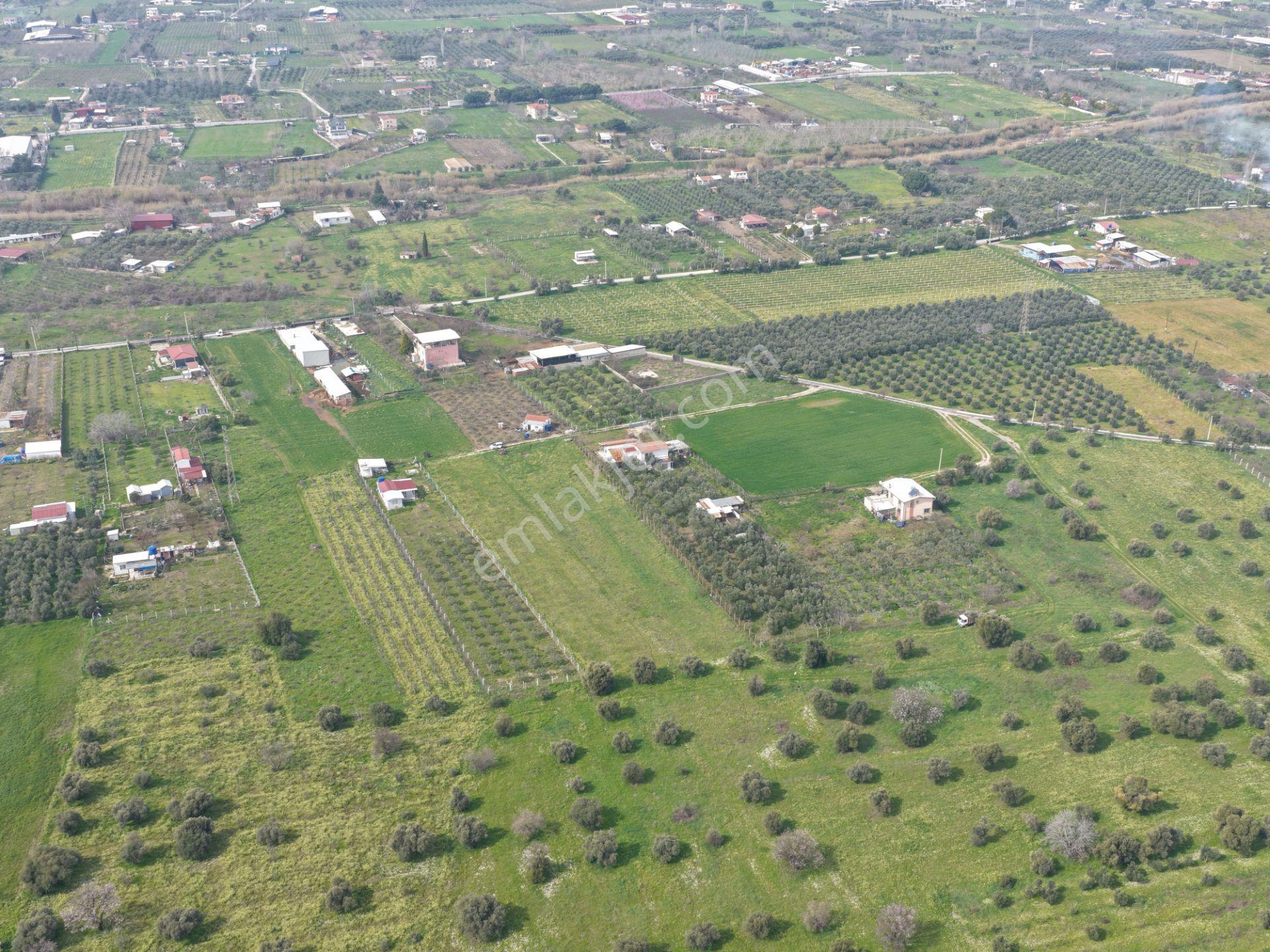 Kemalpaşa Armutlu | Kadastral Yolu Var | 11.920 M2 Satılık Arazi - Görsel 5