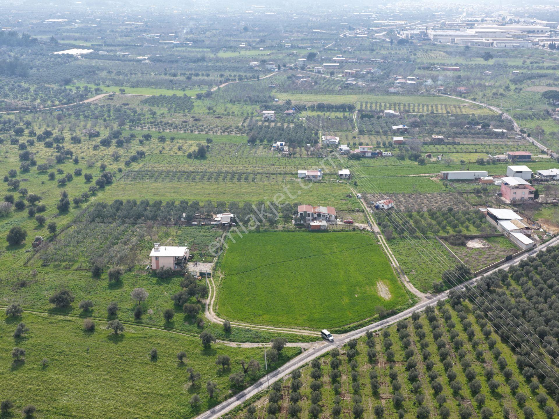 Kemalpaşa Armutlu | Kadastral Yolu Var | 11.920 M2 Satılık Arazi - Görsel 10