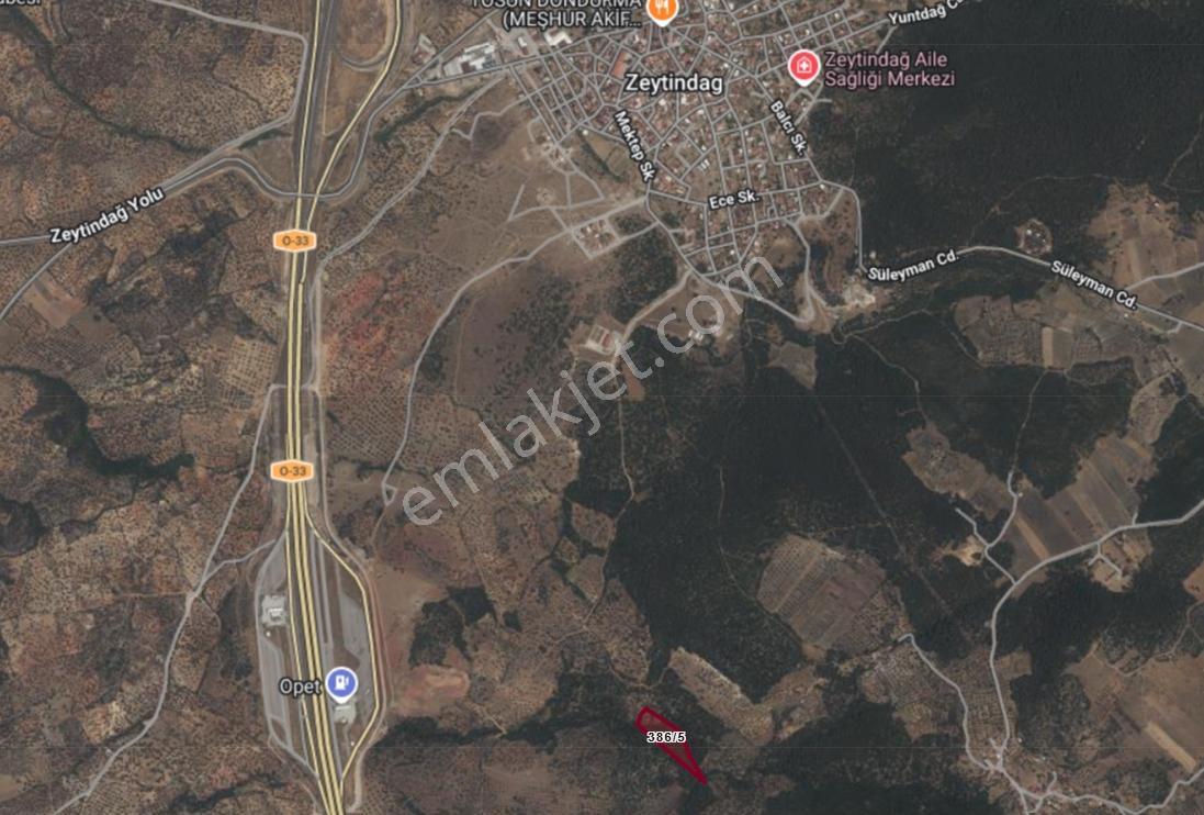Realiva'dan Bergama Zeytindağda Satılık 10185 M2 Zeytinlik - Görsel 3
