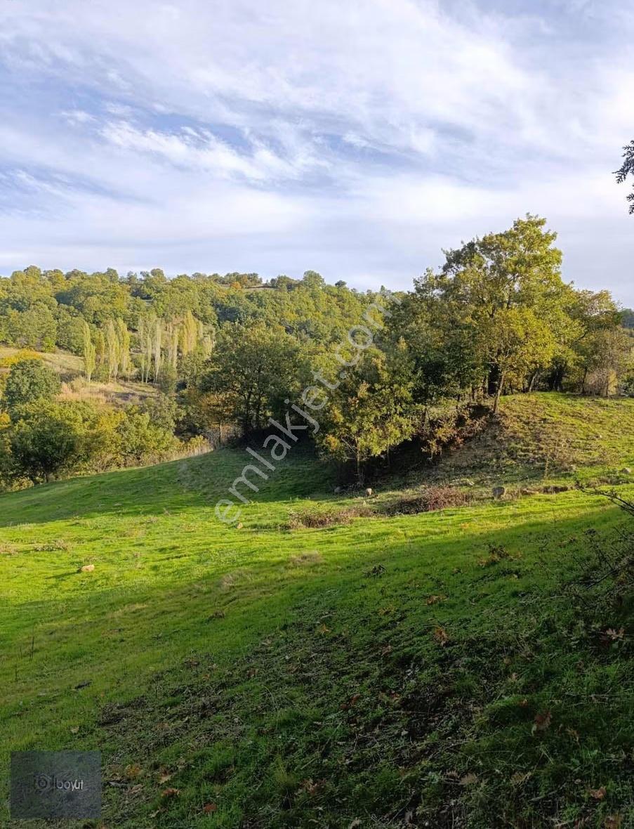 Kazdağları Eteklerinde 2.816 M² Hobi Bahçesi - Görsel 5