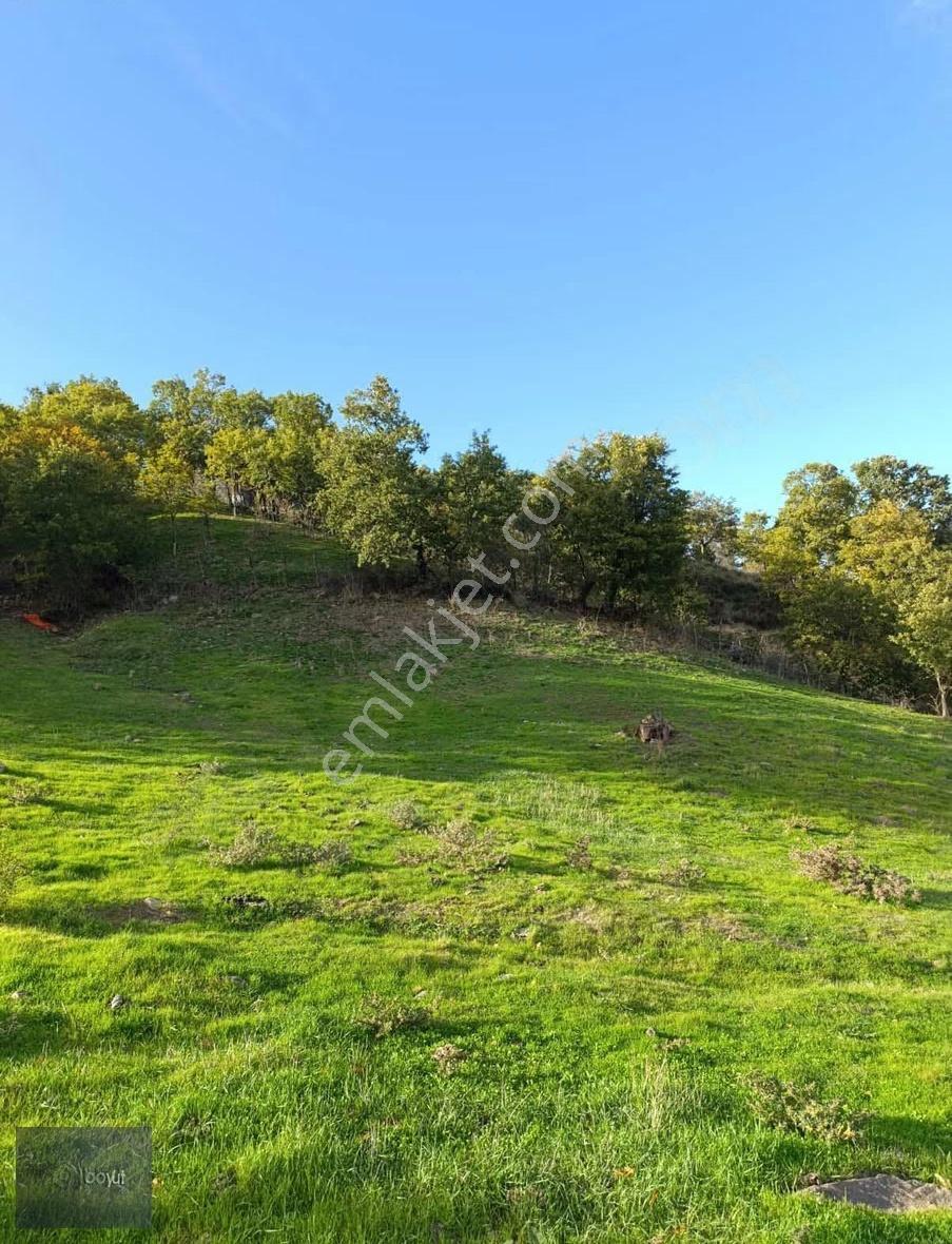 Kazdağları Eteklerinde 2.816 M² Hobi Bahçesi - Görsel 9