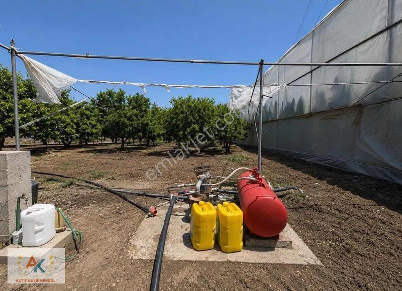 Aktif'ten Akdeniz Evcide Tarım Ve Konut Bir Arada - Görsel 6