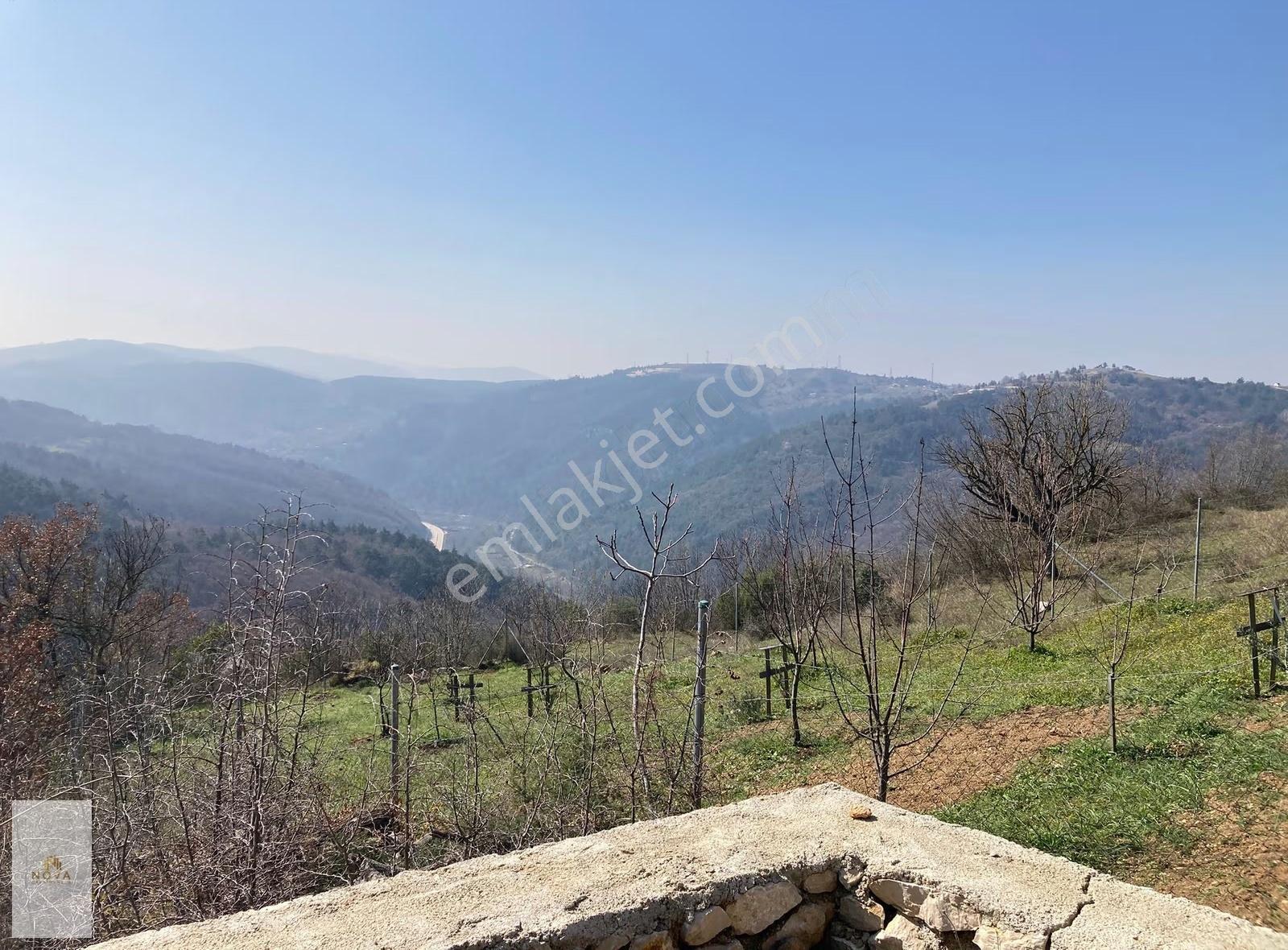 Bursa Gökçeören'de Manzaralı, Tek Tapu 1769 M² Hobi Bahçesi - Görsel 6