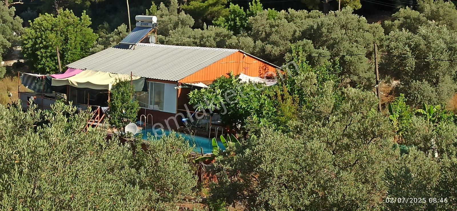 Kaş Yeşilköy'de 4 Dönüm İçinde Havuzlu Çiftlik Evi Ve Müştemilat - Görsel 13